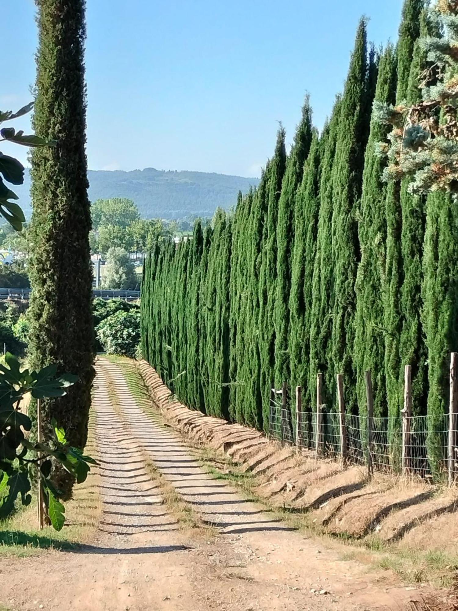 Camugnano Farm Villa Rapolano Terme Exterior photo